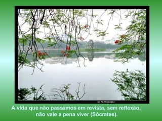 A vida que não passamos em revista, sem reflexão, não vale a pena viver (Sócrates). 
