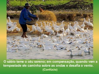 O sábio teme o céu sereno; em compensação, quando vem a tempestade ele caminha sobre as ondas e desafia o vento.  (Confúcio)   