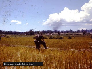 Open rice paddy Sniper time 