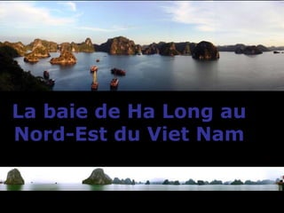 La baie de Ha Long au  Nord-Est du Viet Nam  