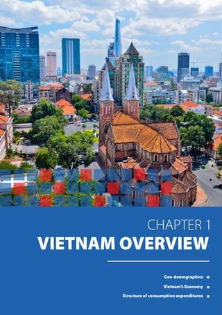 CHAPTER 1
VIETNAM OVERVIEW
Geo-demographics
Vietnam’s Economy
Structure of consumption expenditures
 