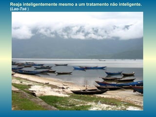 Reaja inteligentemente mesmo a um tratamento não inteligente.  ( Lao-Tsé  )   