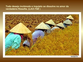 Todo desejo incômodo e inquieto se dissolve no amor da verdadeira filosofia. ( LAO-TSÉ  )   