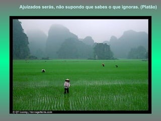 Ajuizados serás, não supondo que sabes o que ignoras. (Platão)   