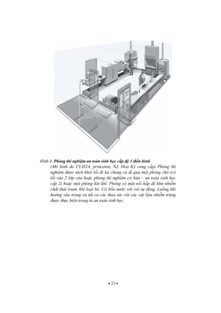 23
Hình 4. Phòng thí nghi m an toàn sinh h c c p 3 i n hình
(Mô hình do CUH2A, princeton, NJ, Hoa K cung c p) Phòng thí
nghi m c tách kh i l i i l i chung và i qua m t phòng ch (có
l i vào 2 l p c a ho c phòng thí nghi m c b n – an toàn sinh h c
c p 2) ho c m t phòng kín khí. Phòng có m t n i h p kh nhi m
ch t th i tr c khi lo i b . Có b n n c v i vòi t ng. Lu ng khí
h ng vào trong và t t c các thao tác v i các v t li u nhi m trùng
c th c hi n trong t an toàn sinh h c.
 