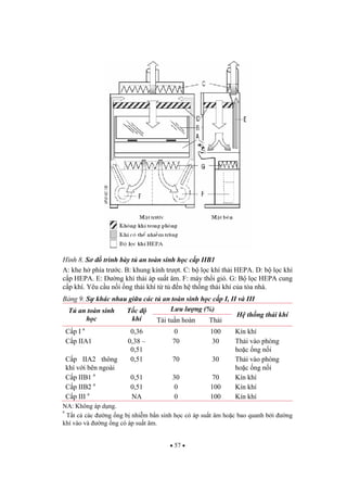 57
Hình 8. S trình bày t an toàn sinh h c c p IIB1
A: khe h phía tr c. B: khung kính tr t. C: b l c khí th i HEPA. D: b l c khí
c p HEPA. E: ng khí th i áp su t âm. F: máy th i gió. G: B l c HEPA cung
c p khí. Yêu c u n i ng th i khí t t n h th ng th i khí c a tòa nhà.
B ng 9. S khác nhau gi a các t an toàn sinh h c c p I, II và III
L u l ng (%)T an toàn sinh
h c
T c
khí Tái tu n hoàn Th i
H th ng th i khí
C p I a
0,36 0 100 Kín khí
C p IIA1 0,38 –
0,51
70 30 Th i vào phòng
ho c ng n i
C p IIA2 thông
khí v i bên ngoài
0,51 70 30 Th i vào phòng
ho c ng n i
C p IIB1 a
0,51 30 70 Kín khí
C p IIB2 a
0,51 0 100 Kín khí
C p III a
NA 0 100 Kín khí
NA: Không áp d ng.
a
T t c các ng ng b nhi m b n sinh h c có áp su t âm ho c bao quanh b i ng
khí vào và ng ng có áp su t âm.
 