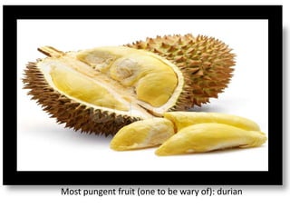 Most pungent fruit (one to be wary of): durian
 