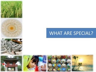 WHAT ARE SPECIAL?
 