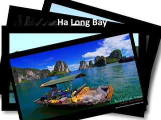 Ha Long Bay
 
