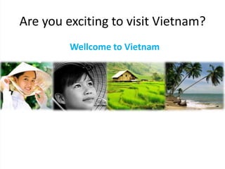 Are you exciting to visit Vietnam?
Wellcome to Vietnam
 