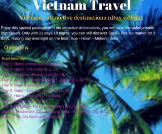 Vietnam Travel
Vietnam - attractive destinations 11Day 10Night
Enjoy this special package with the attractive destinations, you will have the unforgettable
impression. Only with 11 days 10 nights, you can still discover Sapa ­ Bac Ha market for 3
days, Halong bay overnight on the boat, Hue ­ Hoian ­ Mekong delta.
Overview
Brief Itinerary:
Day 1: Hanoi arrival and city tour (L)
Day 2: Hanoi ­ Ha Long (B, L, D)
Day 3: Ha Long ­ Hanoi ­ Lao Cai (B, L)*
Day 4: Lao Cai ­ Bac Ha Market ­ Sapa (B, L,D)**
Day 5: Sapa Trekking (B, L,D)
Day 6: Sapa ­ Lao Cai ­ Hanoi (B, L, D)
Day 7: Hanoi ­ Hue (B, L) by flight
Day 8: Hue ­ Hoi An (B, L)
Day 9: Da Nang ­ Ho Chi Minh City (B, L) by flight
Day 10: Hochiminh City ­ Mekong delta ­ Hochiminh City (B,L)
Day 11: Ho Chi Minh departure (B, L)
 