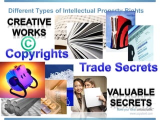 Different Types of Intellectual Property Rights
 