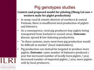 Pro-poor issues for livestock and some lessons for Vietnam from ILRI’s research