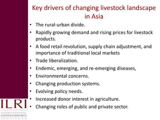 Pro-poor issues for livestock and some lessons for Vietnam from ILRI’s research