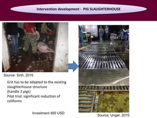Food safety assessment and challenges along small-scale pig systems in Vietnam