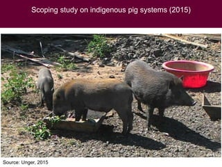 Food safety assessment and challenges along small-scale pig systems in Vietnam