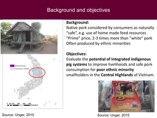 Food safety assessment and challenges along small-scale pig systems in Vietnam