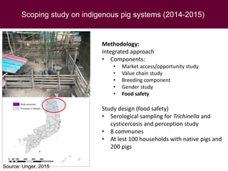 Food safety assessment and challenges along small-scale pig systems in Vietnam