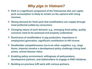 Update on pig value chain development in Vietnam
