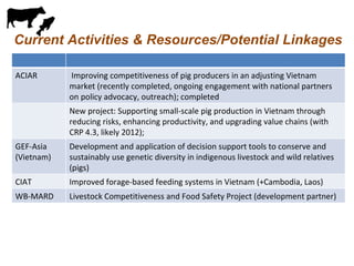 Update on pig value chain development in Vietnam