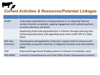 Update on pig value chain development in Vietnam