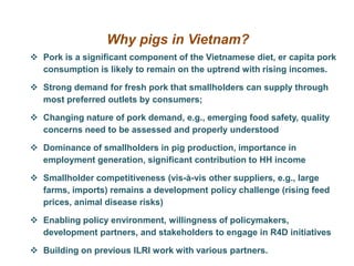 Update on pig value chain development in Vietnam