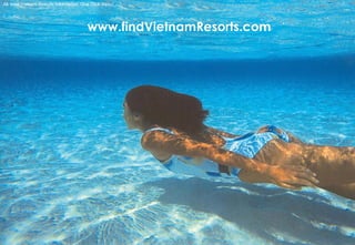 VietnamRealEstate_E-Directory_VN_Q3_2008