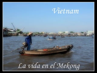 Vietnam
La vida en el Mekong
 