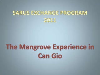 Sarus Exchange Program 2011 The Mangrove Experience in Can Gio 