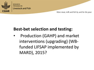 Livestock and Fish Vietnam smallholder pigs value chain: What has been achieved