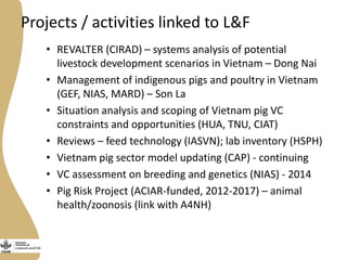 Livestock and Fish Vietnam smallholder pigs value chain: What has been achieved