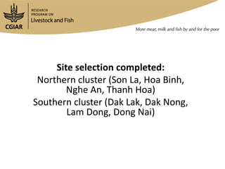 Livestock and Fish Vietnam smallholder pigs value chain: What has been achieved