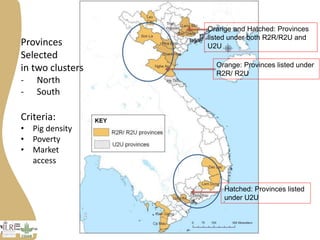 Livestock and Fish Vietnam smallholder pigs value chain: What has been achieved
