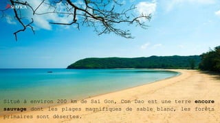 Situé à environ 200 km de Sai Gon, Con Dao est une terre encore
sauvage dont les plages magnifiques de sable blanc, les forêts
primaires sont désertes.
 