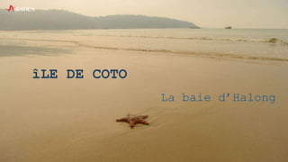 îLE DE COTO
La baie d’Halong
 