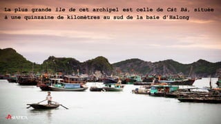 La plus grande île de cet archipel est celle de Cát Bà, située
à une quinzaine de kilomètres au sud de la baie d’Halong
 