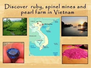 Discover ruby, spinel mines and
     pearl farm in Vietnam
            Yen The
                      Ha Long Bay
 