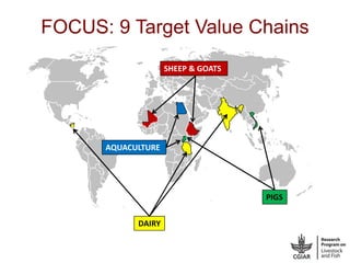 Vietnam value chain development planning