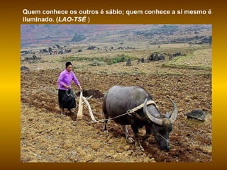 Quem conhece os outros é sábio; quem conhece a si mesmo é iluminado. ( LAO-TSÉ  )  