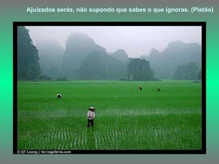 Ajuizados serás, não supondo que sabes o que ignoras. (Platão)   