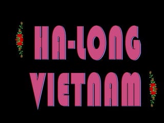 HA-LONG VIETNAM 