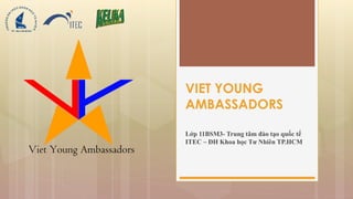 VIET YOUNG 
AMBASSADORS 
Lớp 11BSM3- Trung tâm đào tạo quốc tế 
ITEC – ĐH Khoa học Tư Nhiên TP.HCM 
 
