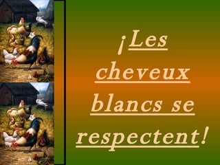 ¡ Les cheveux blancs se respectent ! 