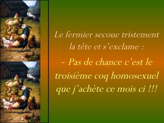 Le fermier secoue tristement la tête et s’exclame : -  Pas de chance c’est le troisième coq homosexuel que j’achète ce mois ci !!! 