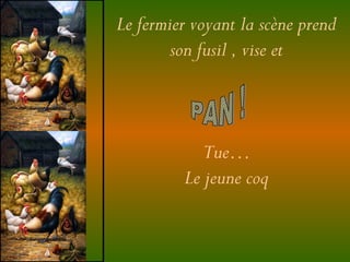 Le fermier voyant la scène prend
son fusil , vise et
Tue…
Le jeune coq
 