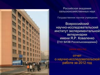 Viev Presentation 2012 | PPT