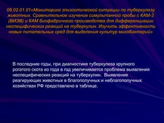 Viev Presentation 2012 | PPT