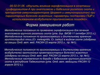 Viev Presentation 2012 | PPT