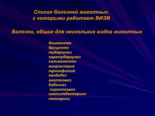 Viev Presentation 2012 | PPT