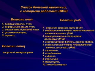 Viev Presentation 2012 | PPT